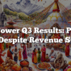 Api Power Q3 Results: Profits Dip Despite Revenue Surge